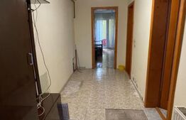 Casa de Vanzare tip Duplex 267 mp utili Dumbravita zona Lidl-Kaufland