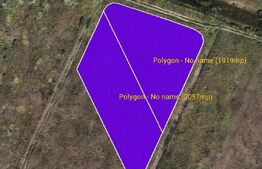 Teren intravilan, 3976 mp, doar 50 euro mp, excelent poziționat, Moșnița Noua