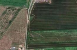 Teren extravilan, 10.005 mp, Giarmata langa A1