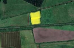 Teren extravilan de vanzare, 50.000 mp, langa padurea din Pischia!