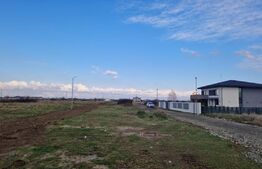 Teren intravilan, 780 mp, Mosnita Noua! Ocazie!