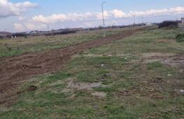 Teren intravilan, 780 mp, Mosnita Noua! Ocazie!