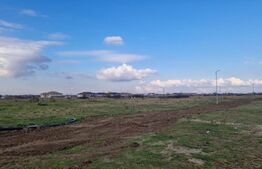 Teren intravilan, 780 mp, Mosnita Noua! Ocazie!