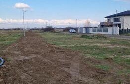 Teren intravilan, 780 mp, Mosnita Noua! Ocazie!