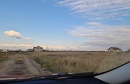 Teren intravilan, 780 mp, Mosnita Noua! Ocazie!