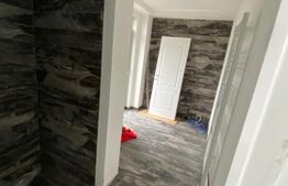 Oportunitate! Vila individuala de 217mp SU, 355 mp de teren, P+1+M, Dumbravita