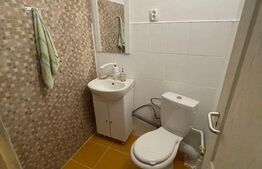 Ocazie, casă spațioasă, deosebită în Voiteg