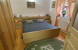 Ocazie, casă spațioasă, deosebită în Voiteg