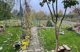 Ocazie, casă spațioasă, deosebită în Voiteg