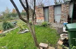 Ocazie, casă spațioasă, deosebită în Voiteg