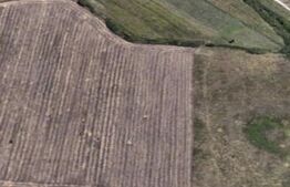 Teren extravilan, 20.000 mp, Dumbravita