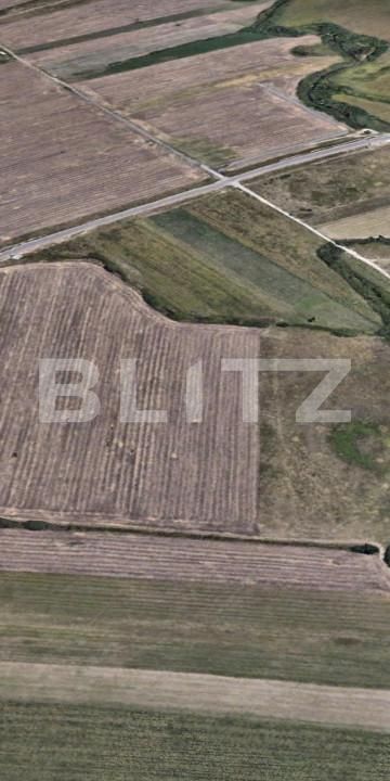 Teren de vânzare Dumbravita - 149226TV | BLITZ Timișoara | Poza2