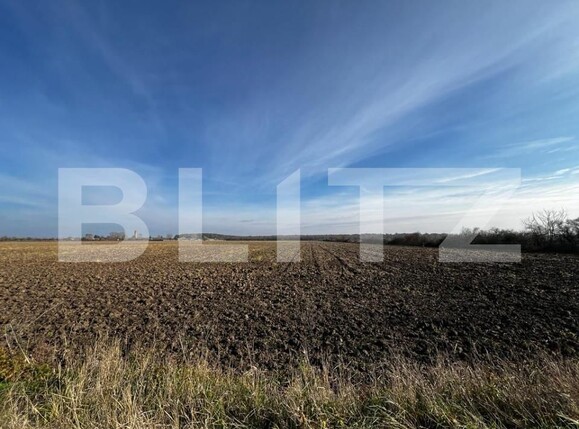 Teren de vânzare Dumbravita - 149229TV | BLITZ Timișoara | Poza1