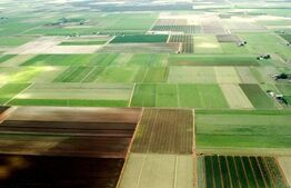 Teren intravilan extins, 1200 mp, Sag