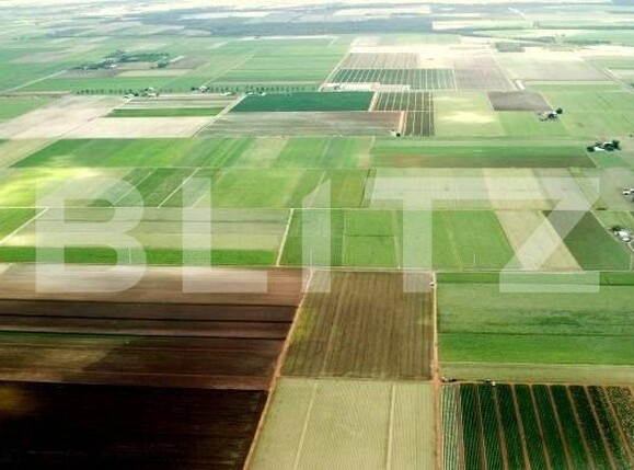 Teren de vânzare Sag - 149230TV | BLITZ Timișoara | Poza1