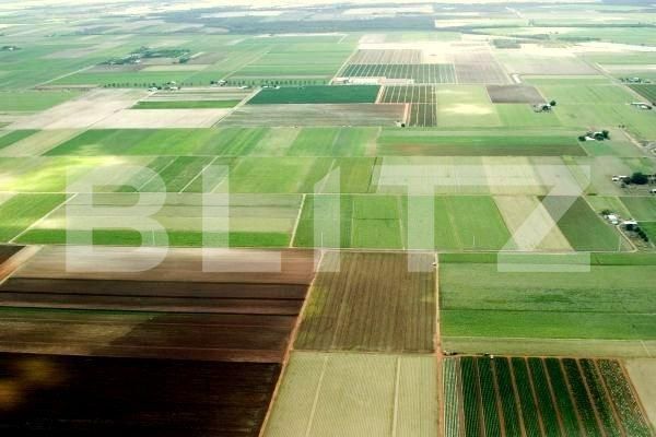 Teren de vânzare Sag - 149230TV | BLITZ Timișoara | Poza1