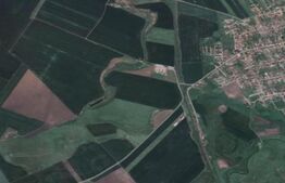 Teren extravilan de 5 ha, Sanandrei - Dudestii Noi