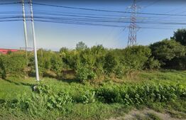 Două terenuri cu suprafață totală de 23.200 mp, Calea Lugojului