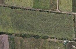 Teren extravilan 7200 mp, front 60 ml, Giarmata Vii