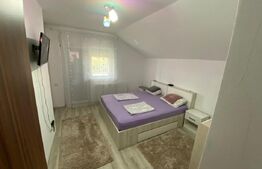 Duplex, 81mp utili, 200mp de teren, in Utvin