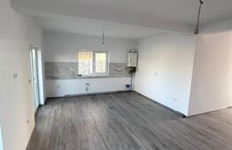 Casă duplex pe parter, 2 dormitoare, teren 320 mp, Moșnița Nouă 