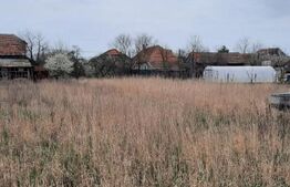 Ocazie! Teren intravilan mare, pentru constructii, Mosnita!