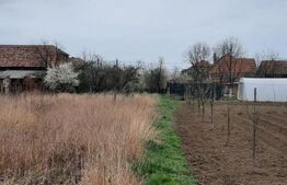 Ocazie! Teren intravilan mare, pentru constructii, Mosnita!