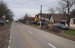 Ocazie! Teren intravilan mare, pentru constructii, Mosnita!