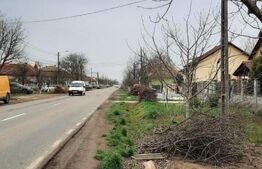 Ocazie! Teren intravilan mare, pentru constructii, Mosnita!