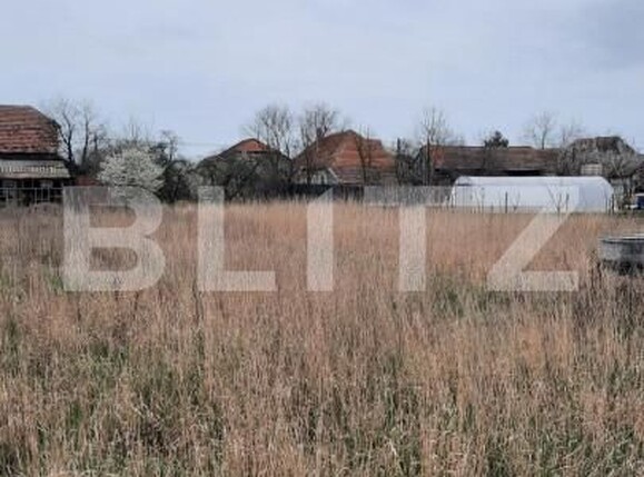 Teren de vânzare Mosnita Veche - 149543TV | BLITZ Timișoara | Poza4