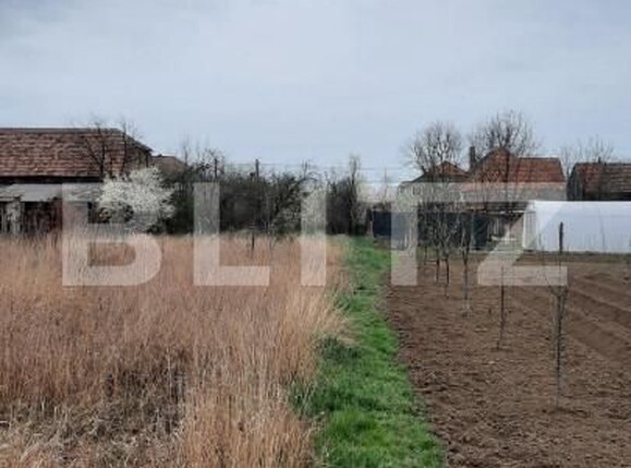 Teren de vânzare Mosnita Veche - 149543TV | BLITZ Timișoara | Poza3