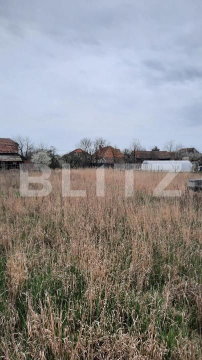 Teren de vânzare Mosnita Veche - 149543TV | BLITZ Timișoara | Poza4