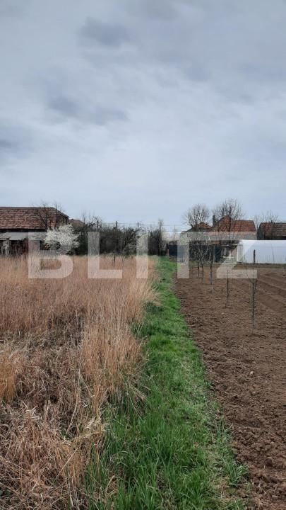 Teren de vânzare Mosnita Veche - 149543TV | BLITZ Timișoara | Poza3