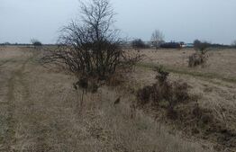 Oportunitate! Teren extravilan de vanzare, 8000 mp, la DN, Ghiroda!