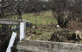 Teren intravilan, 684 mp, in vatra satului! Dumbravita!