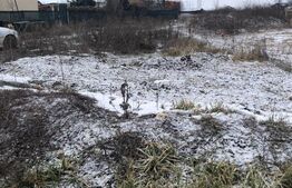 Teren de vânzare Torontalului - 183012TV | BLITZ Timișoara | Poza5