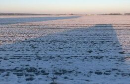 Teren extravilan, 106.400 mp, la drumul Judetean, in Pischia! 