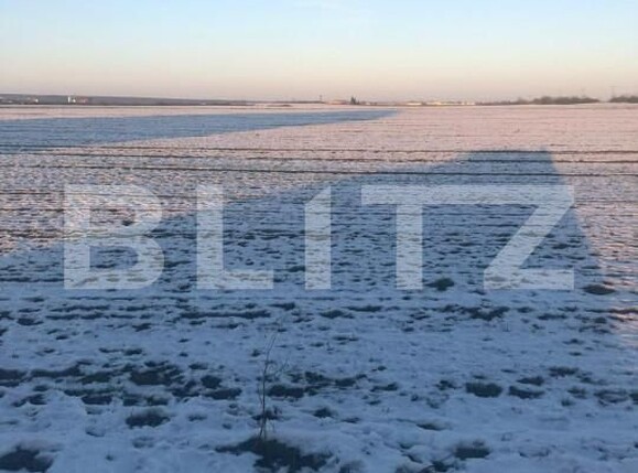 Teren de vânzare Pischia - 149560TV | BLITZ Timișoara | Poza2