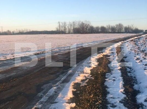 Teren de vânzare Pischia - 149561TV | BLITZ Timișoara | Poza1