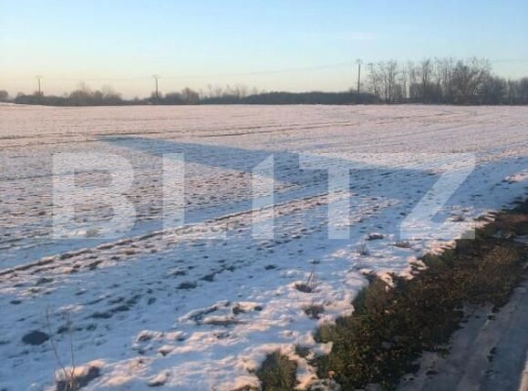 Teren de vânzare Pischia - 149561TV | BLITZ Timișoara | Poza2