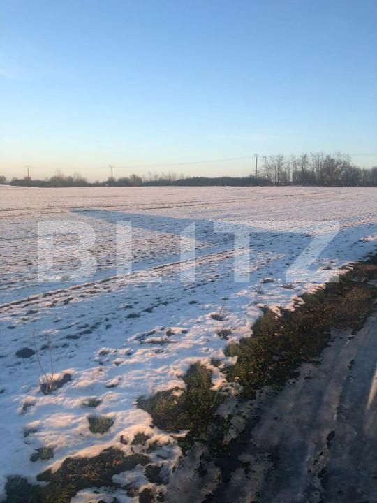 Teren de vânzare Pischia - 149561TV | BLITZ Timișoara | Poza2