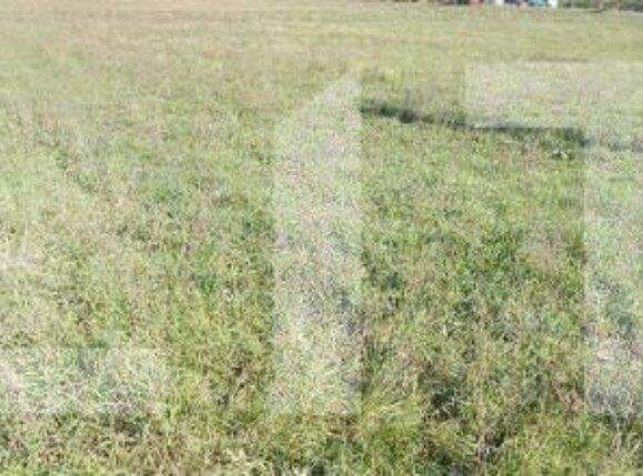 Teren de vânzare Chisoda - 149566TV | BLITZ Timișoara | Poza1