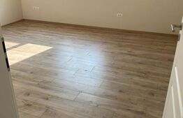 Casa tip duplex, 95 mp utili, mobilat, Remetea Mare!