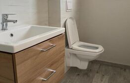 Casa tip duplex, 95 mp utili, mobilat, Remetea Mare!