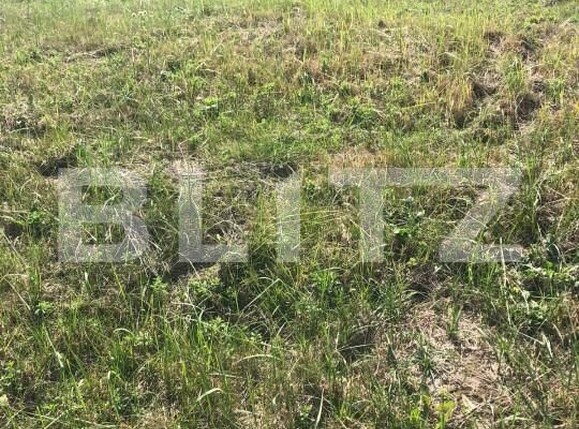 Teren de vânzare Dumbravita - 149572TV | BLITZ Timișoara | Poza1