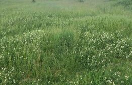 Teren locuinte colective, 4080 mp, Giroc!