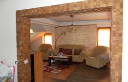 Casa individuala, situata in zona Manastiri de la Sag!