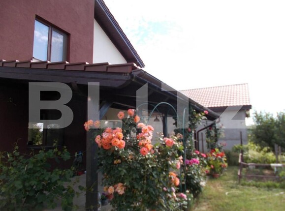 Casa de vânzare 6 camere Sag - 149581CV | BLITZ Timișoara | Poza1