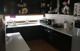 Casa 500 mp utili, 2.000 mp teren, in Chisoda