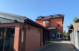 Casa de vânzare 9 camere Dumbravita - 179458CV | BLITZ Timișoara | Poza1